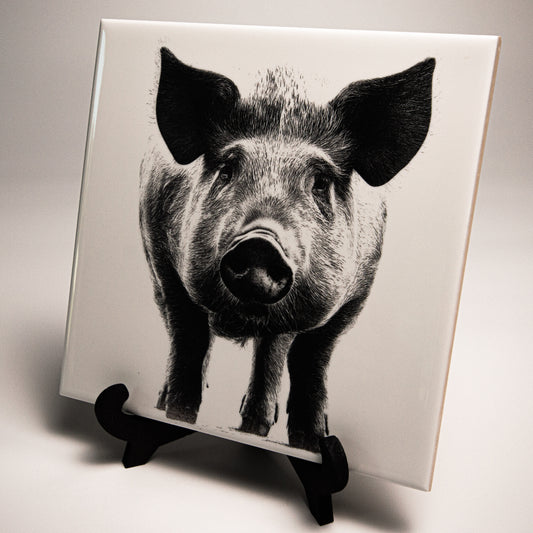 Yorkshire Pig Ceramic Plate - Rustic Farm Decor